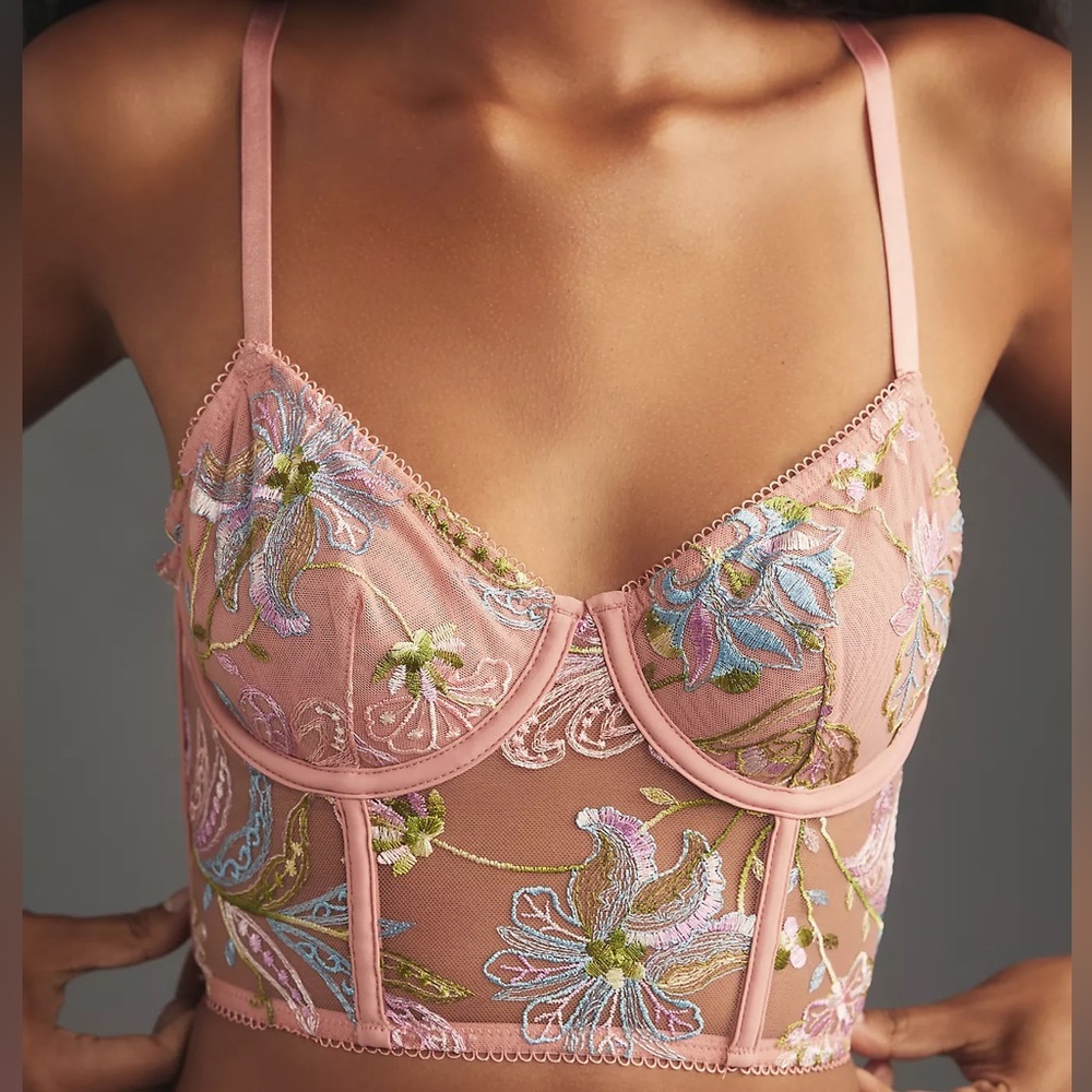 Anthropologie Embroidered Mesh Corset Top - NWT - M